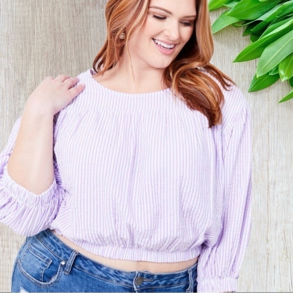Arula Lavender Striped Seersucker Quarter Sleeve Cropped Top Size A, 1X, 14/16
